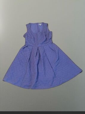 Women's Purple Fit-and-Flare Dress